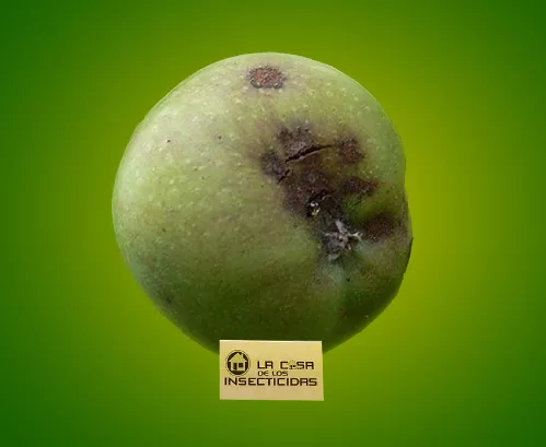 Moteado de los Frutales